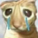 cry