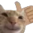 1thumbsupcat