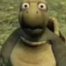 shockedturtle