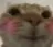 blushcat