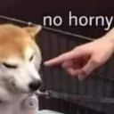 dog_horny dog_horny