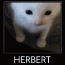 KU_Herbert Discord emoji