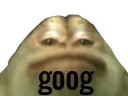 z_goog