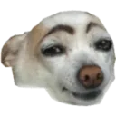 0chicheezy
