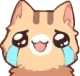 TC_cat_happycry Discord Emoji