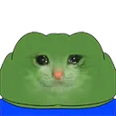 feelschungus