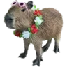 x_capybara