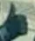 thumbsup