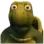 huh_turtle