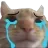 7sad_cat