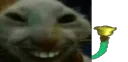 xdddinkdonk
