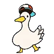 dduck
