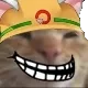 RescueTrollCat