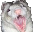 kiliax_approved Discord emoji