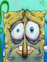 spong