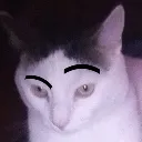 pluto_eyebrows