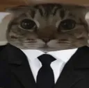 Stylishbany