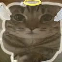Angelicbany Angelicbany