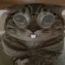 Nerdbany