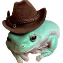 cowboyfrog