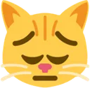 pensivecat
