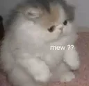 mew