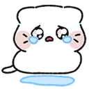 1_