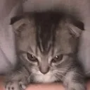 grrrrrr