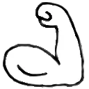 flex_r