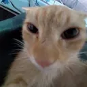 nameitpls nameitpls