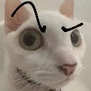 EyebrowRaised