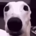 scared_af