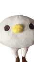 pelus