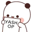 PAIN_YASH_OP