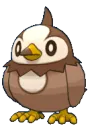 shstarly