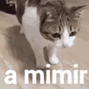 cat_a_mimir cat_a_mimir