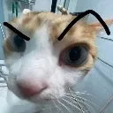 huhhh