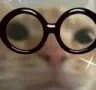 catnerd