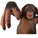 MonkDap