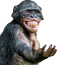 MonkGivePls