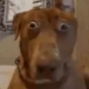emoji_79