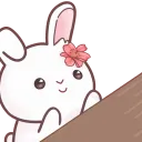LolaxBongo_DNS