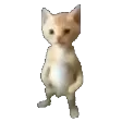 Anthony