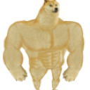 gigadoge Discord emoji