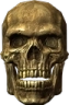skull