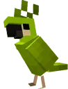 birb