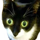 shocked_eyes