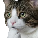 hmm_whod_have_thunk_it