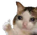 thumbsupcrying