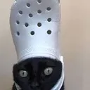 blackcatcrock